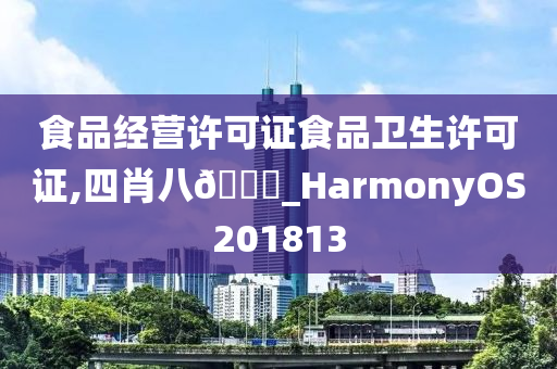 食品经营许可证食品卫生许可证,四肖八??_HarmonyOS201813