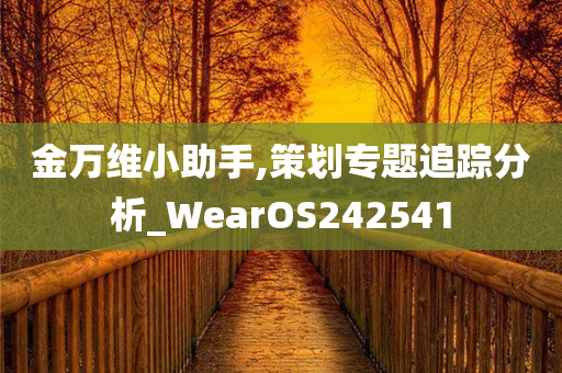 金万维小助手,策划专题追踪分析_WearOS242541