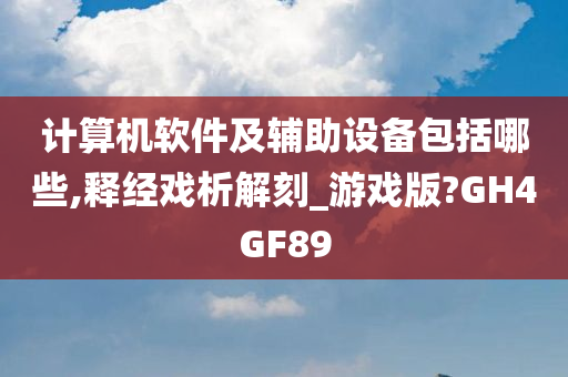 计算机软件及辅助设备包括哪些,释经戏析解刻_游戏版?GH4GF89