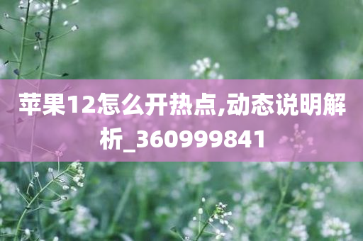 苹果12怎么开热点,动态说明解析_360999841