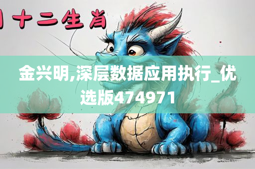 金兴明,深层数据应用执行_优选版474971