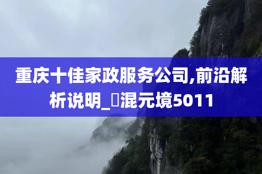 重庆十佳家政服务公司,前沿解析说明_?混元境5011