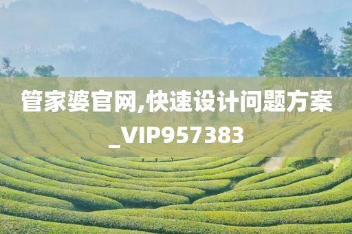 管家婆官网,快速设计问题方案_VIP957383