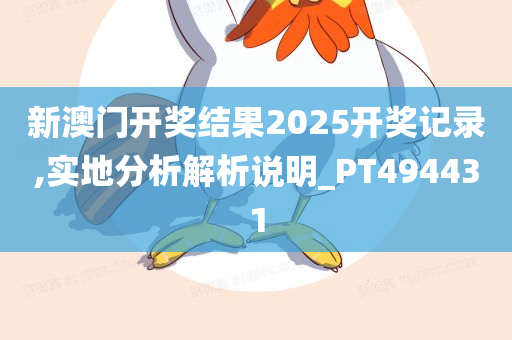 新澳门开奖结果2025开奖记录,实地分析解析说明_PT494431