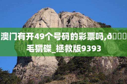 澳门有开49个号码的彩票吗,??毛猬磔_拯救版9393