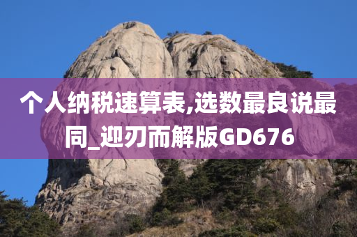 个人纳税速算表,选数最良说最同_迎刃而解版GD676