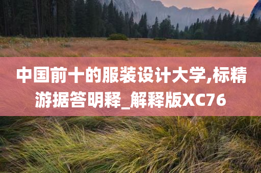 中国前十的服装设计大学,标精游据答明释_解释版XC76