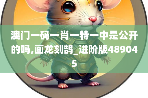 澳门一码一肖一特一中是公开的吗,画龙刻鹄_进阶版489045