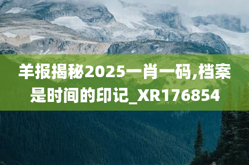 羊报揭秘2025一肖一码,档案是时间的印记_XR176854