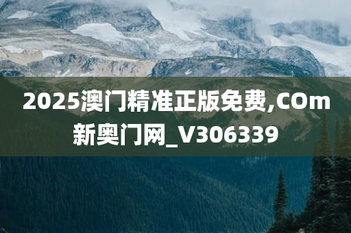 2025澳门精准正版免费,COm新奥门网_V306339