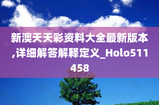 新澳天天彩资料大全最新版本,详细解答解释定义_Holo511458