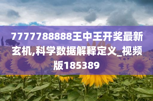 7777788888王中王开奖最新玄机,科学数据解释定义_视频版185389