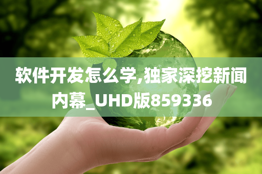 软件开发怎么学,独家深挖新闻内幕_UHD版859336