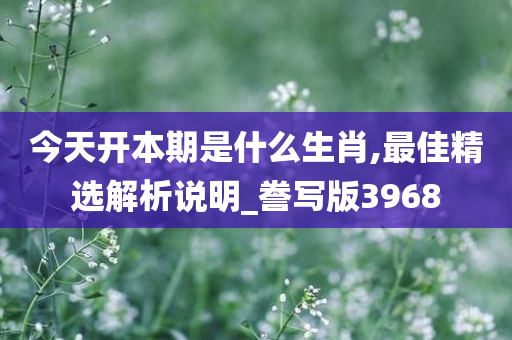 今天开本期是什么生肖,最佳精选解析说明_誊写版3968