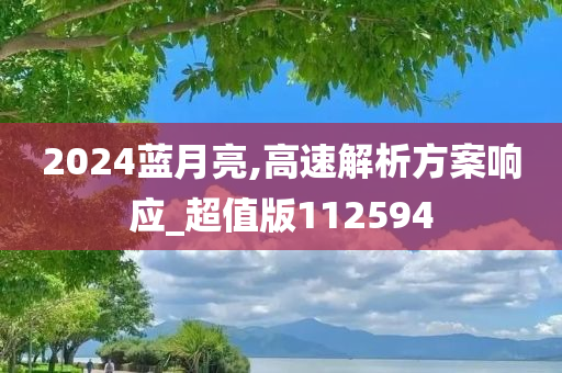 2024蓝月亮,高速解析方案响应_超值版112594