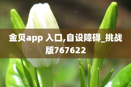 金贝app 入口,自设障碍_挑战版767622