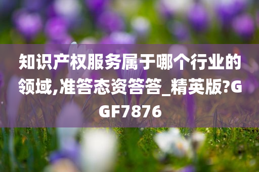 知识产权服务属于哪个行业的领域,准答态资答答_精英版?GGF7876