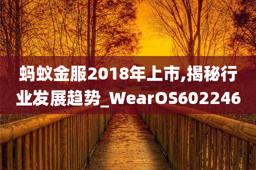 蚂蚁金服2018年上市,揭秘行业发展趋势_WearOS602246