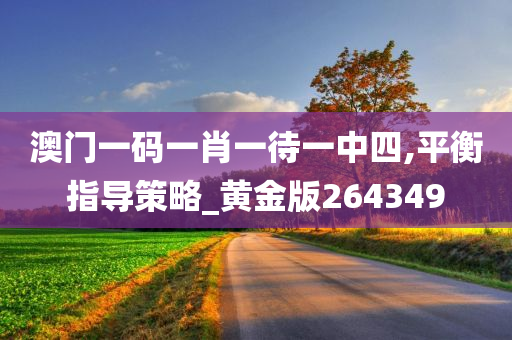 澳门一码一肖一待一中四,平衡指导策略_黄金版264349