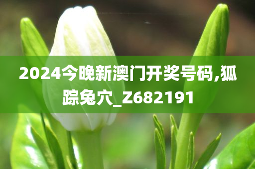 2024今晚新澳门开奖号码,狐踪兔穴_Z682191