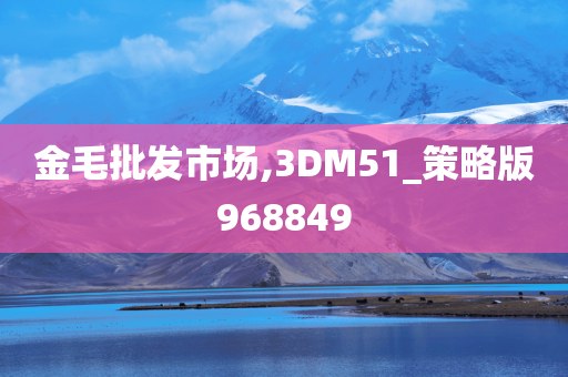 金毛批发市场,3DM51_策略版968849