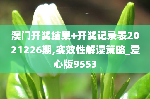 澳门开奖结果+开奖记录表2021226期,实效性解读策略_爱心版9553