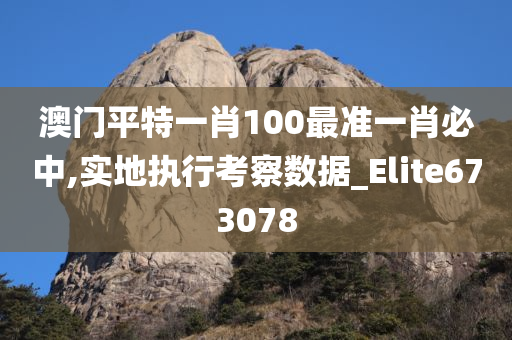 澳门平特一肖100最准一肖必中,实地执行考察数据_Elite673078