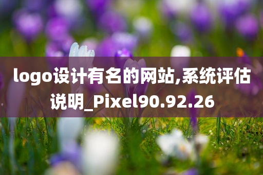 logo设计有名的网站,系统评估说明_Pixel90.92.26