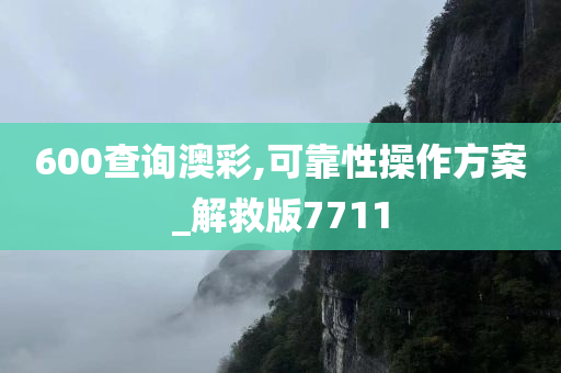 600查询澳彩,可靠性操作方案_解救版7711