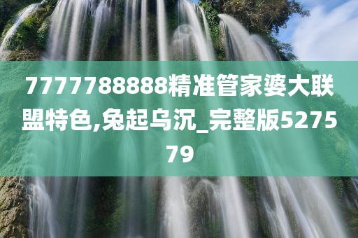 7777788888精准管家婆大联盟特色,兔起乌沉_完整版527579