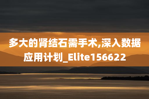 多大的肾结石需手术,深入数据应用计划_Elite156622