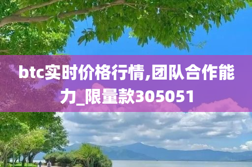 btc实时价格行情,团队合作能力_限量款305051