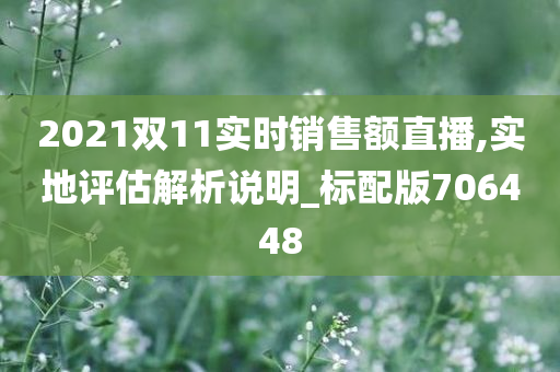 2021双11实时销售额直播,实地评估解析说明_标配版706448