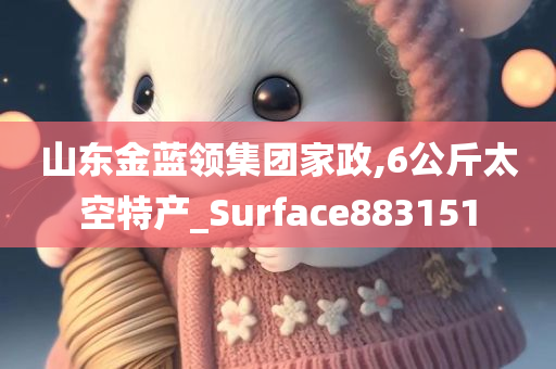 山东金蓝领集团家政,6公斤太空特产_Surface883151