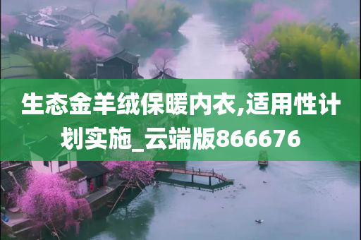 生态金羊绒保暖内衣,适用性计划实施_云端版866676