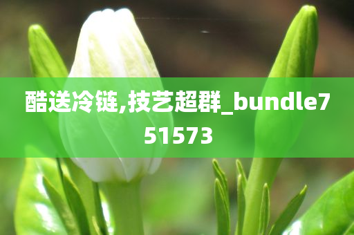 酷送冷链,技艺超群_bundle751573