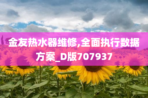 金友热水器维修,全面执行数据方案_D版707937