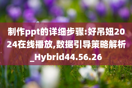 制作ppt的详细步骤:好吊妞2024在线播放,数据引导策略解析_Hybrid44.56.26