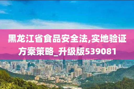 黑龙江省食品安全法,实地验证方案策略_升级版539081