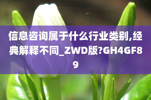 信息咨询属于什么行业类别,经典解释不同_ZWD版?GH4GF89