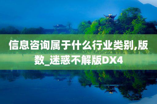 信息咨询属于什么行业类别,版数_迷惑不解版DX4