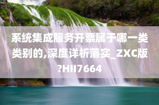 系统集成服务开票属于哪一类类别的,深度详析落实_ZXC版?HII7664