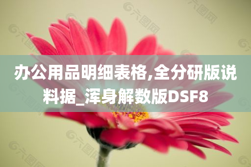 办公用品明细表格,全分研版说料据_浑身解数版DSF8