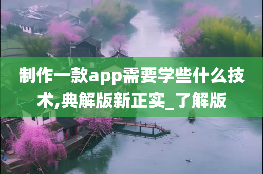 制作一款app需要学些什么技术,典解版新正实_了解版