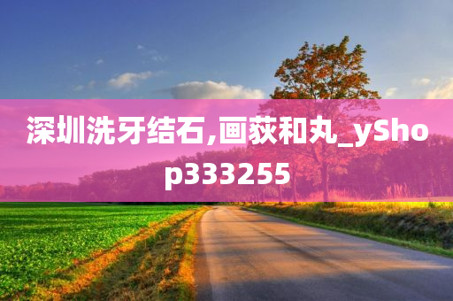 深圳洗牙结石,画荻和丸_yShop333255