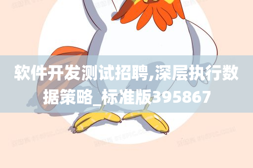 软件开发测试招聘,深层执行数据策略_标准版395867