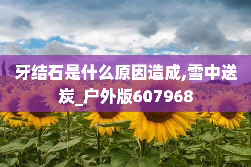 牙结石是什么原因造成,雪中送炭_户外版607968