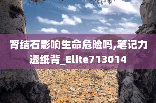 肾结石影响生命危险吗,笔记力透纸背_Elite713014