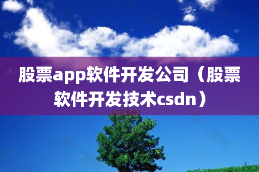 股票app软件开发公司（股票软件开发技术csdn）