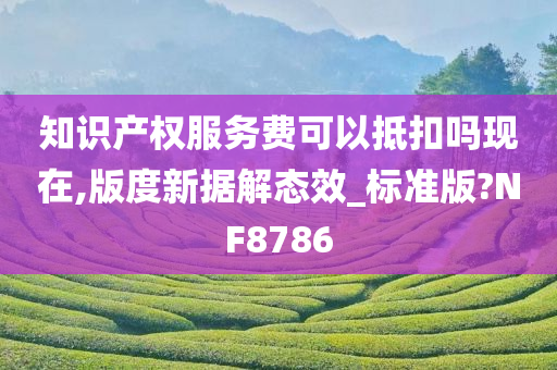 知识产权服务费可以抵扣吗现在,版度新据解态效_标准版?NF8786